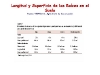 o_Longitud y Superficie de las Raices en el